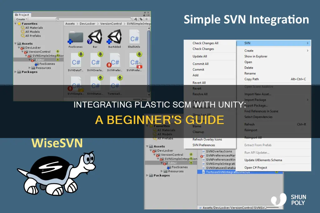 how to add plastic scm to unity