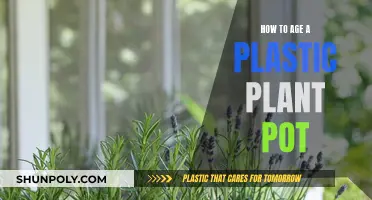 Simulating Age on Plastic Planters: DIY Techniques