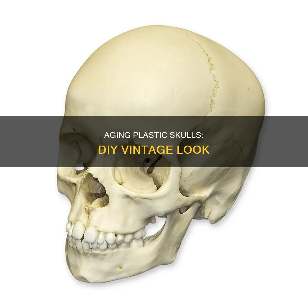 how to age a plastic skull