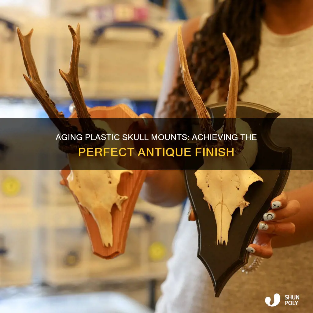 how to age plastic european skull mount