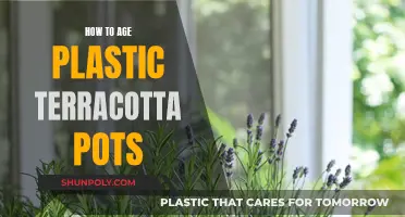 Aged Pots: Terracotta Makeover for a Vintage Garden