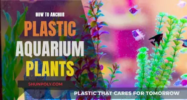 Anchor Plastic Aquarium Plants: A Step-by-Step Guide
