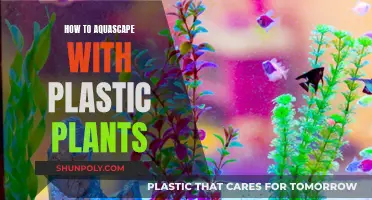 Aquascaping with Plastic Plants: A Creative Guide