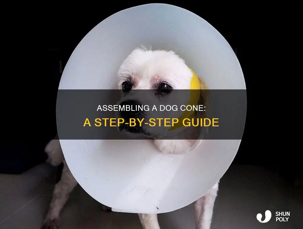 how to assemble a plastic dog cone