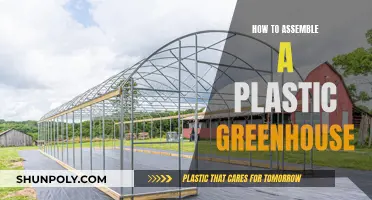 Assembling a Plastic Greenhouse: A Step-by-Step Guide