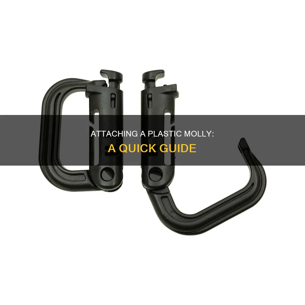 how to attache a plastic molly