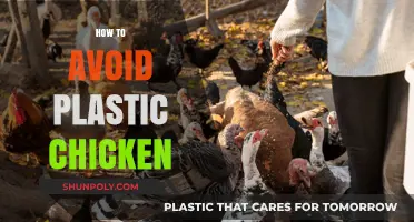 Sustainable Poultry: How to Avoid Plastic Chicken