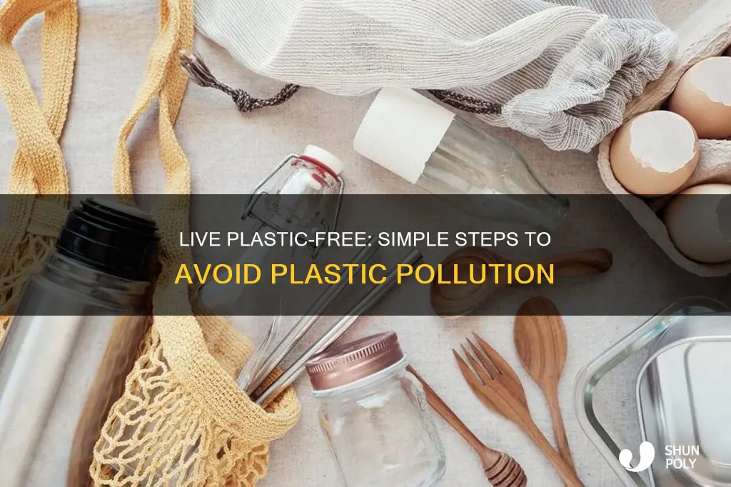 how to avoid plastic in your life