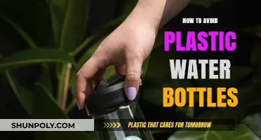 Ditch Plastic Bottles: Sustainable Alternatives for Clean, Eco-Friendly Hydration