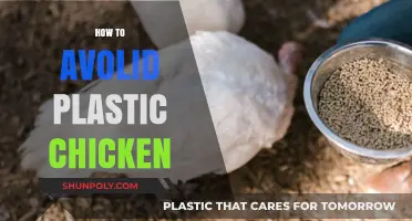 Sustainable Alternatives: How to Avoid Plastic Chicken