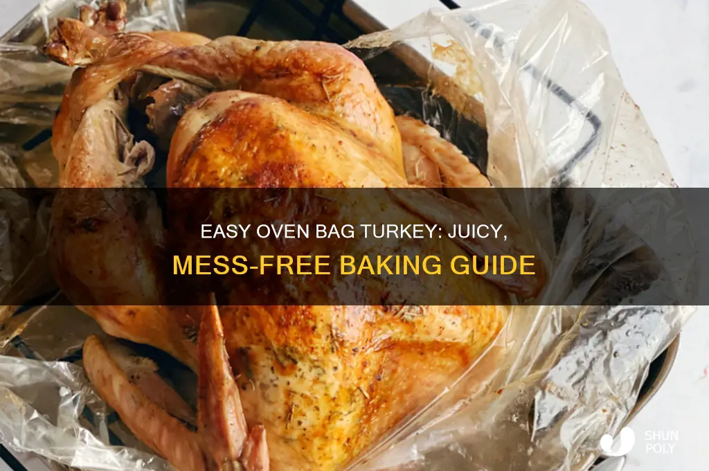how to bake a turkey in a plastic bag