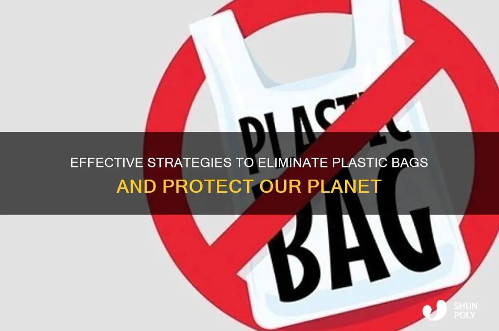 What Concept Would Describe A Policy That Outlawed Plastic Bags