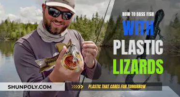 Bass Fishing with Plastic Lizards: The Ultimate Guide