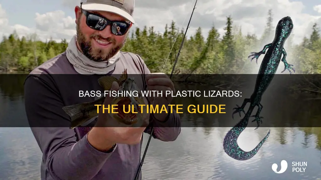 how to bass fish with plastic lizards