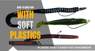 Bass Fishing: Soft Plastics Mastery