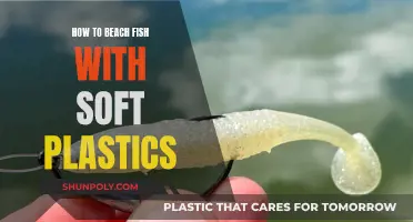 Beach Fishing with Soft Plastics: The Ultimate Guide