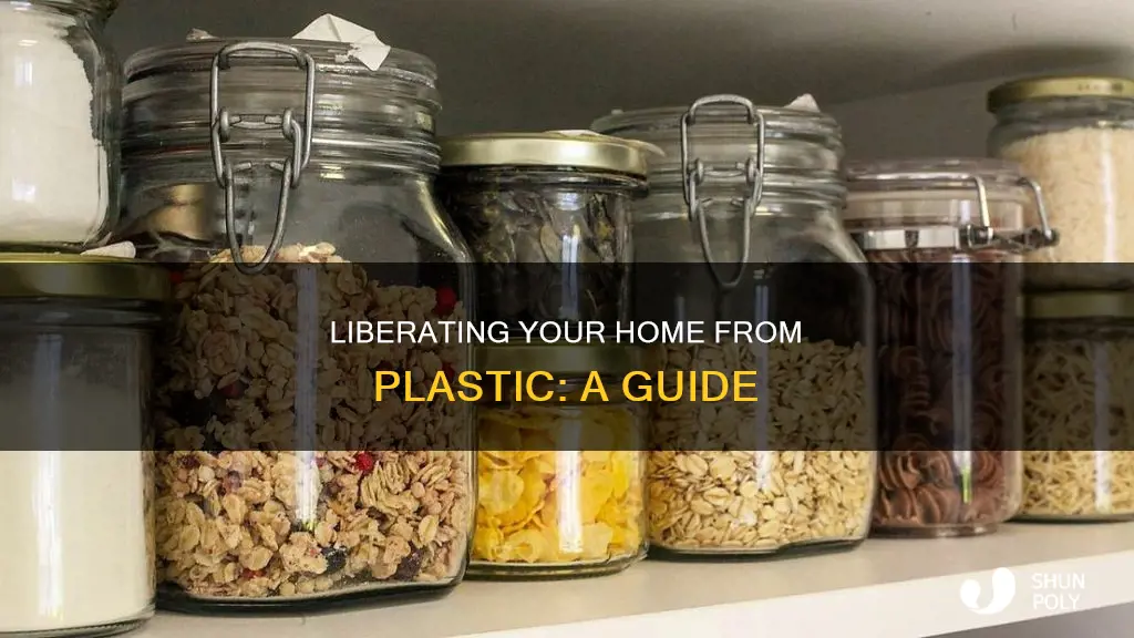 how to become a plastic free household