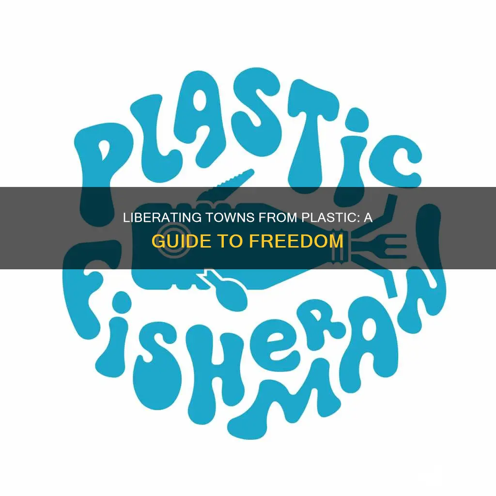 how to become a plastic free town