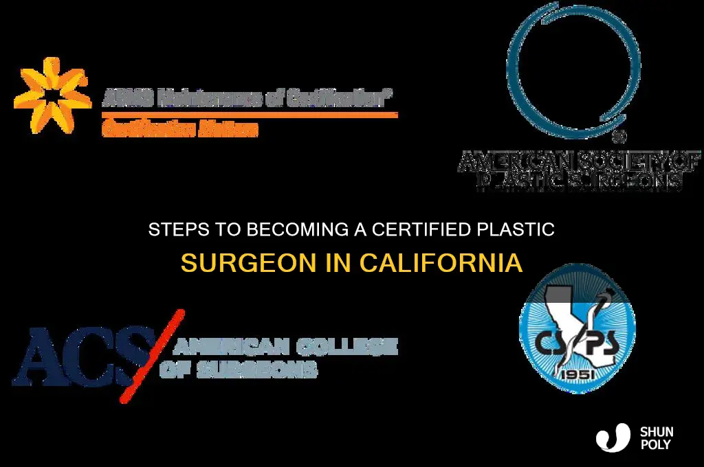 how to become a plastic surgeon in california
