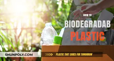 Eco-Friendly Alternatives: The Journey Towards Biodegradable Plastics