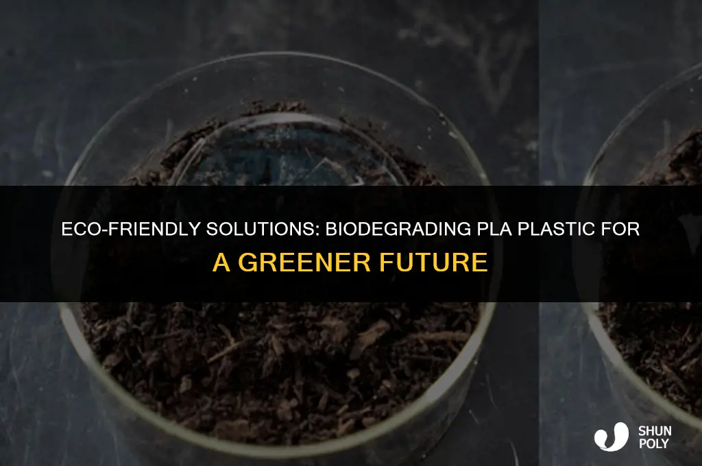 how to biodegrade pla plastic