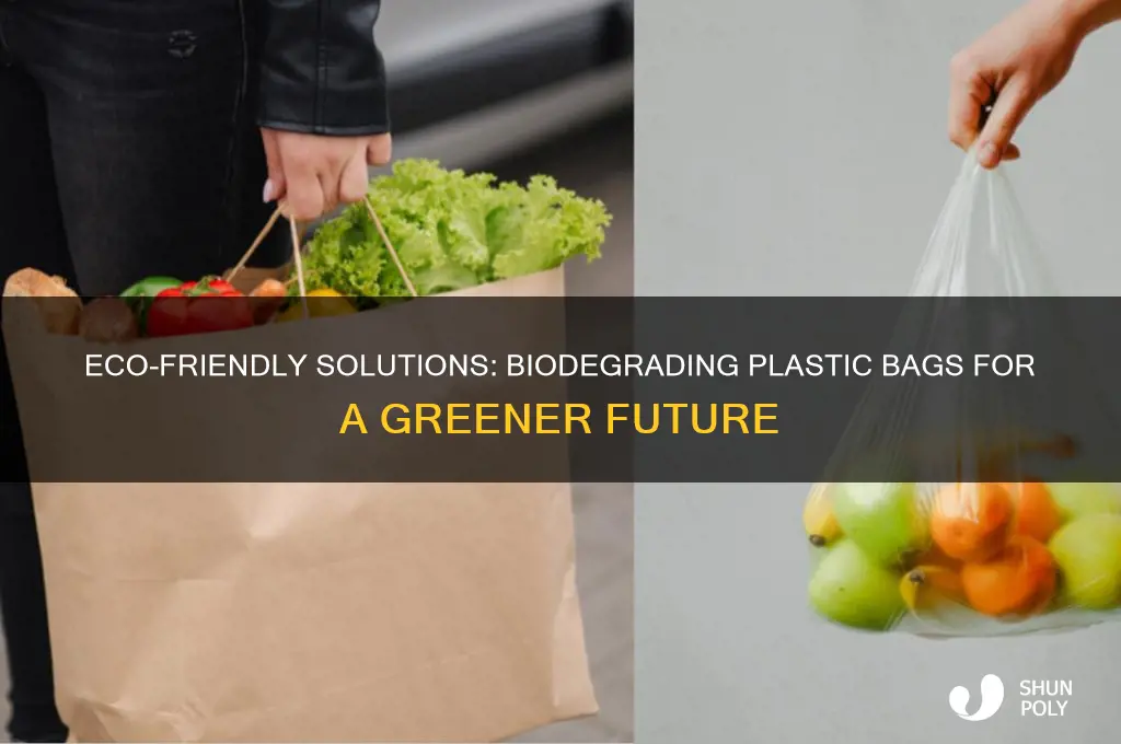 how to biodegrade plastic bags