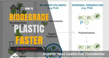 Accelerating Nature's Cleanup: How to Biodegrade Plastic Faster