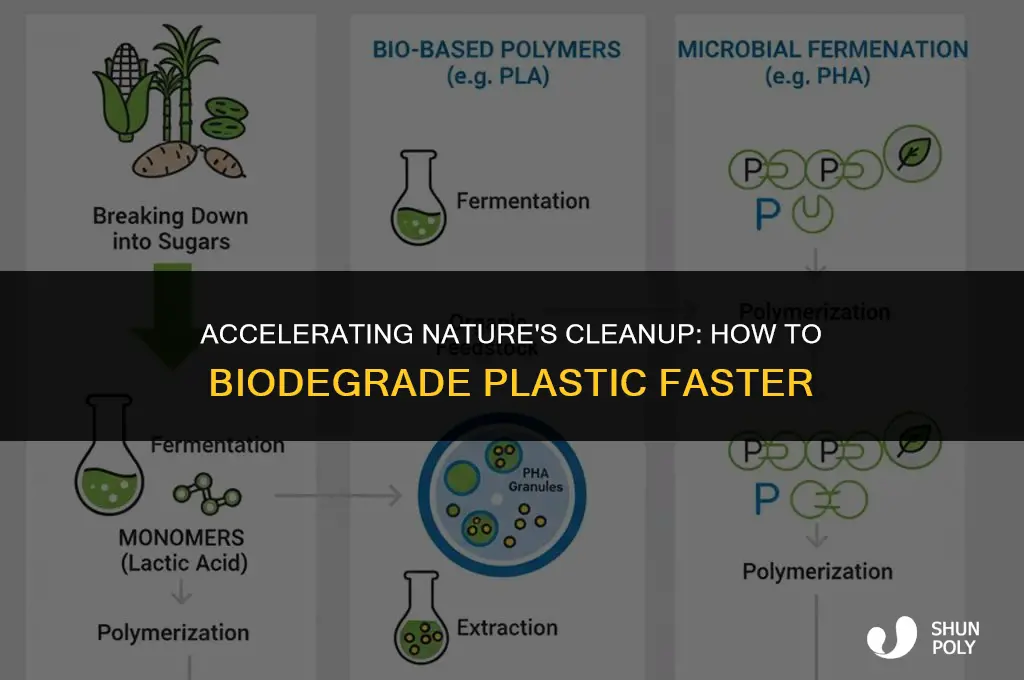 how to biodegrade plastic faster