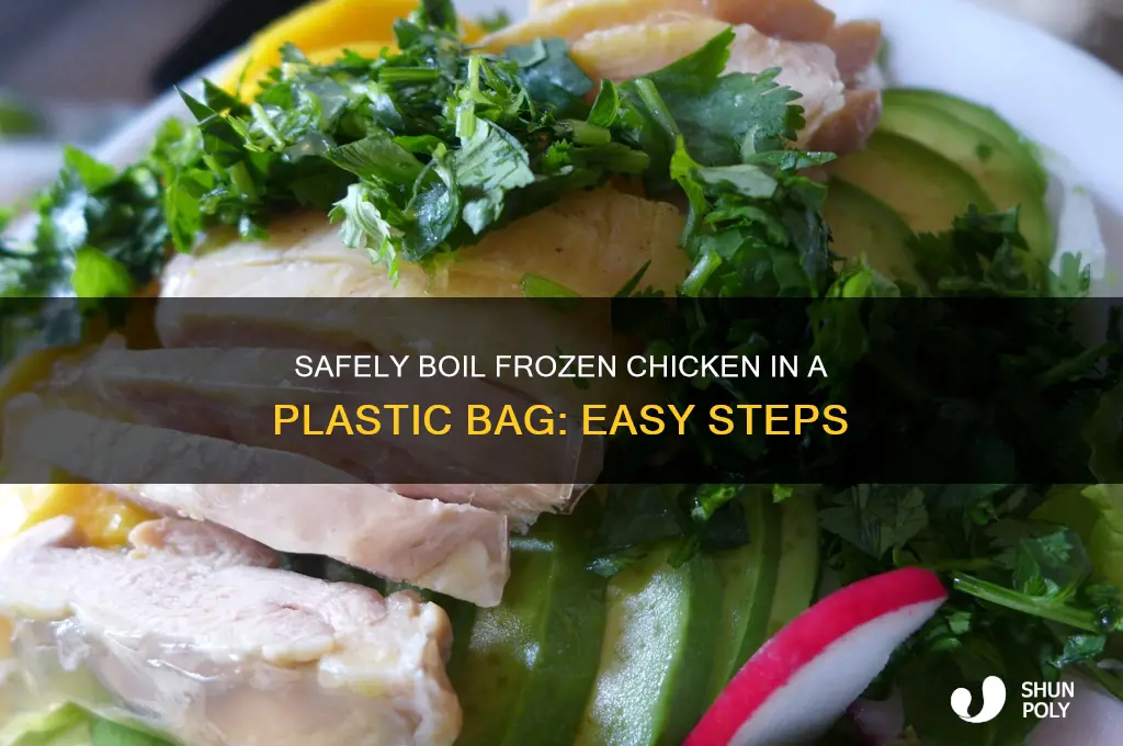 how to boil frozen raw chicken in plastic bag