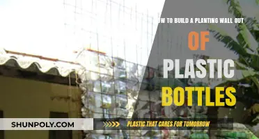 Eco-Friendly Gardening: Crafting a Plastic Bottle Planting Wall