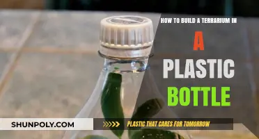 DIY Terrarium in a Bottle: Easy Eco-Friendly Garden Guide