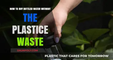 Eco-Friendly Hydration: Buying Bottled Water Without Plastic Waste