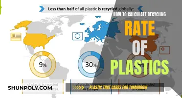 Mastering Plastic Recycling: A Comprehensive Guide to Calculating Rates