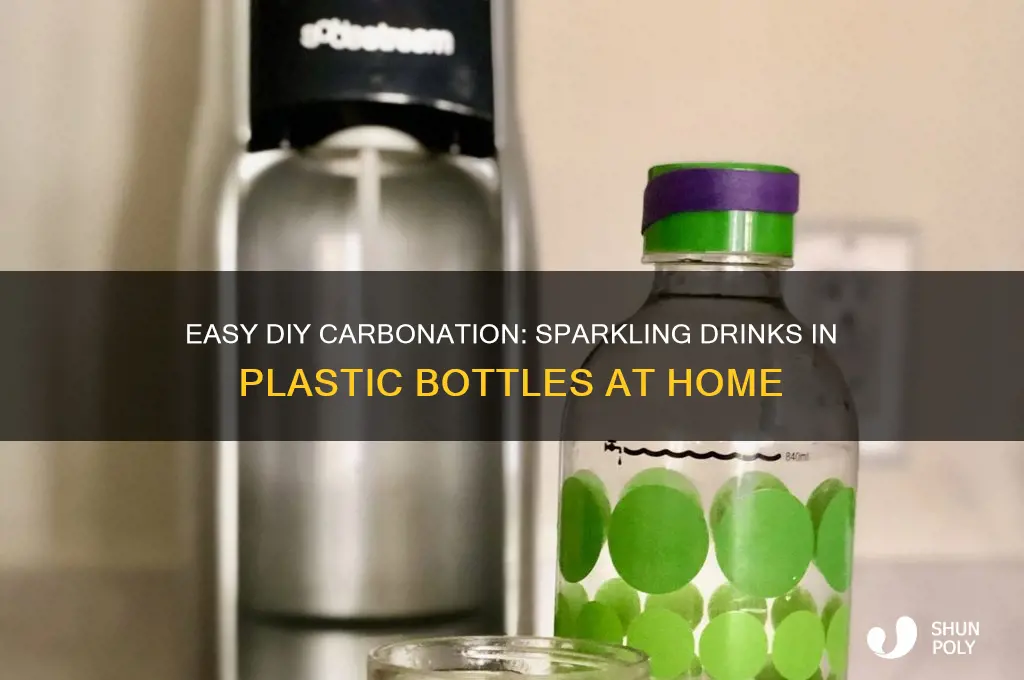 how to carbonate drinks in plastic bottles