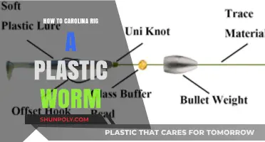 Carolina Rigging Plastic Worms: The Ultimate Guide