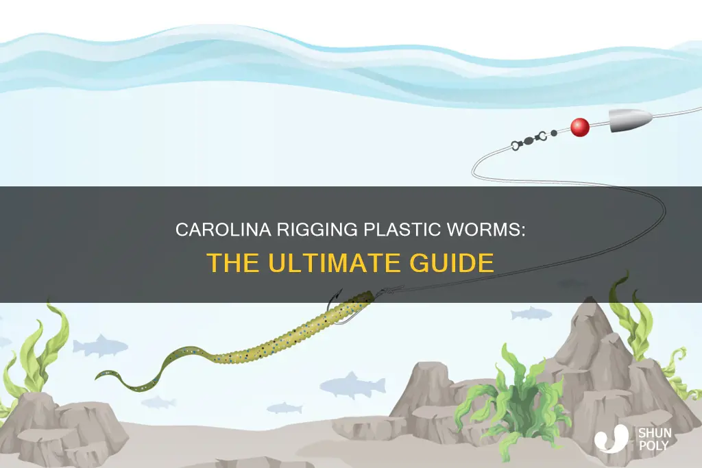 how to carolina rig a plastic worm