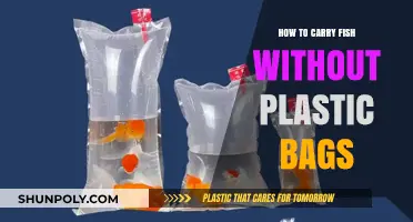 Eco-Friendly Fish Transport: Alternatives to Plastic Bags for Safe Carrying
