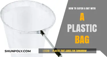 Safe Bat Catching: Using a Plastic Bag Effectively and Humanely