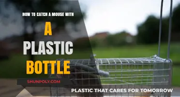 DIY Mouse Trap: Catching Rodents with a Plastic Bottle Easily