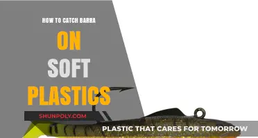 Catching Barra on Soft Plastics: The Ultimate Guide