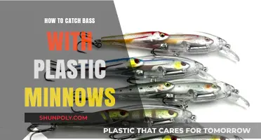 Plastic Minnows: The Secret to Bass Fishing Success