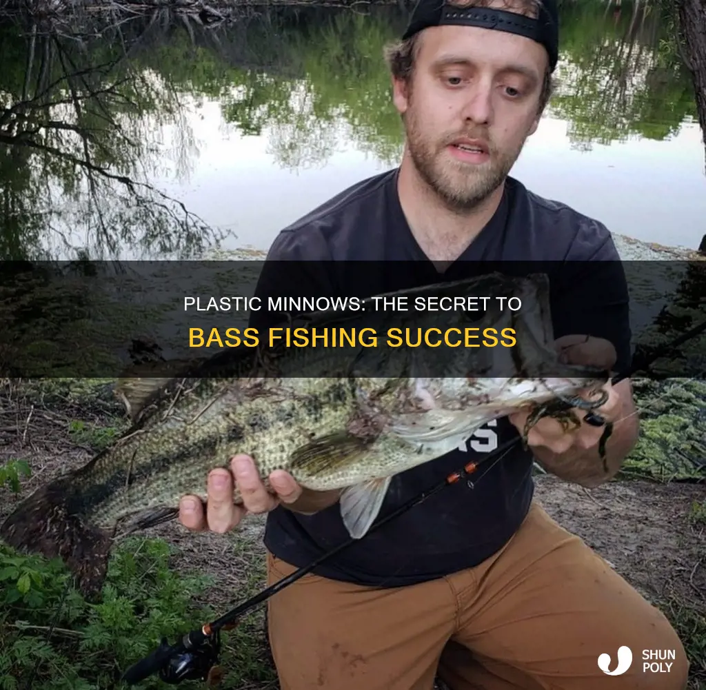 how to catch bass with plastic minnows