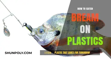 Catching Bream on Plastics: The Ultimate Guide