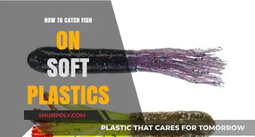 Soft Plastics: The Ultimate Guide to Catching Fish