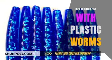 Plastic Worms: The Ultimate Guide to Catching Fish