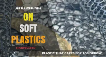 Catching Flathead with Soft Plastics: The Ultimate Guide