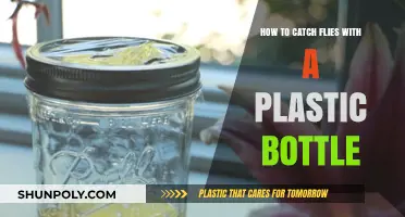 DIY Fly Trap: Catch Flies Easily Using a Plastic Bottle