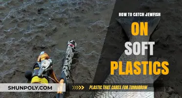 Catching Jewfish: Soft Plastics Mastery