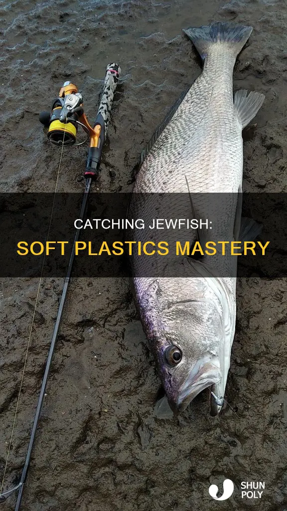 how to catch jewfish on soft plastics