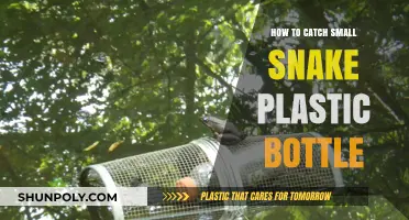 Catching Small Snakes Safely: A Simple Plastic Bottle Trap Guide